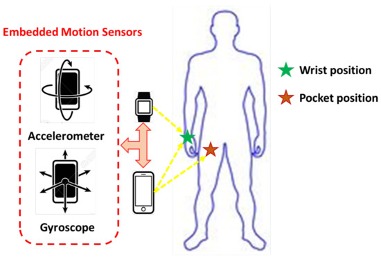 Human Activity Recognition with wearable sensors